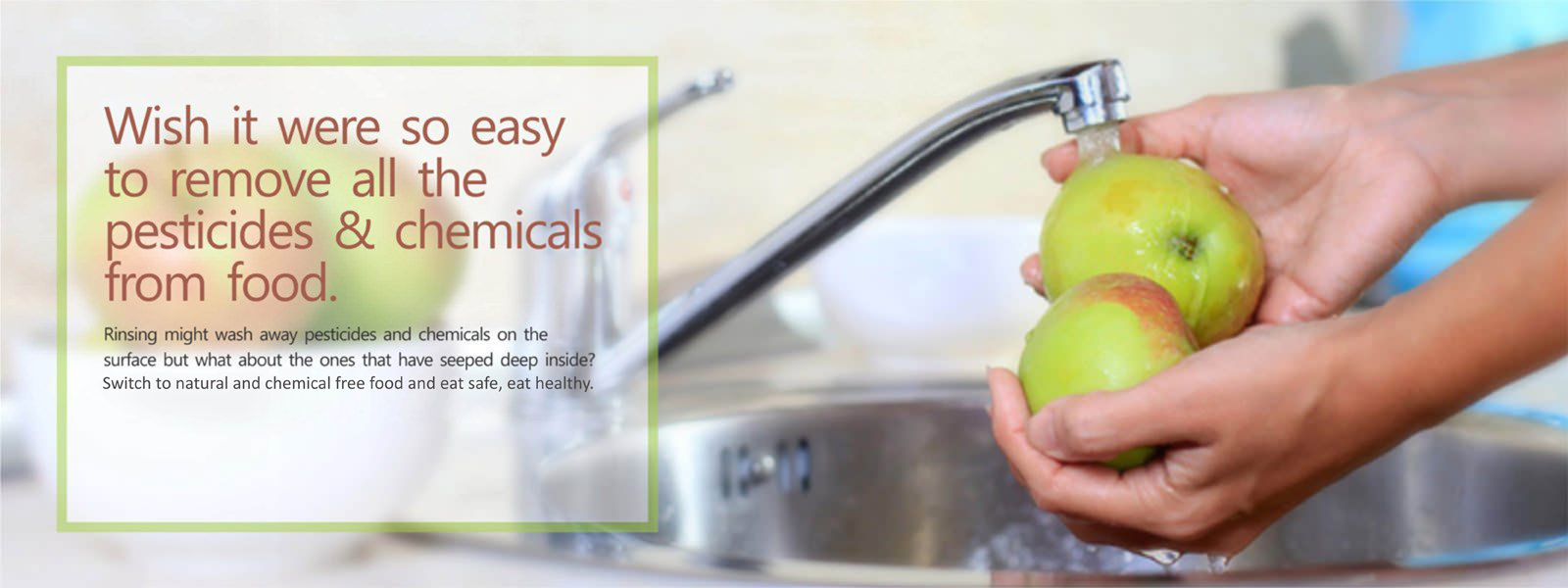 Pesticides and Chemical Free Organic Fruits and Vegetables